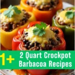 2 Quart Crockpot Barbacoa Recipes