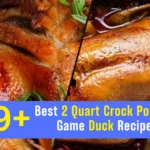 Best 2 Quart Crock Pot Wild Game Duck Recipes