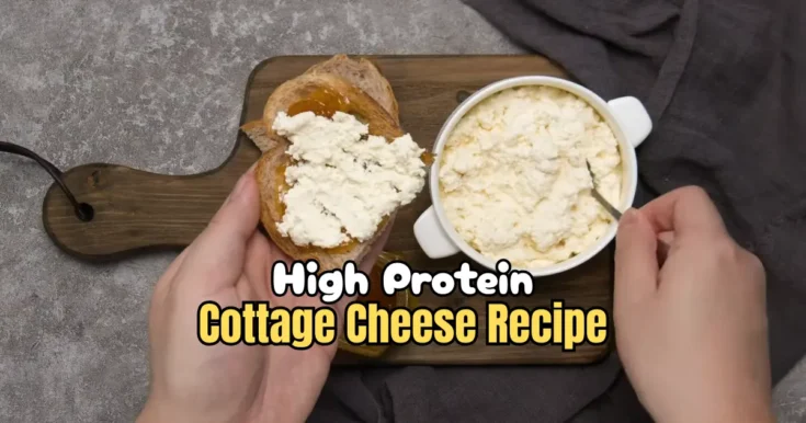 High Protein Cottage Cheese Recipe