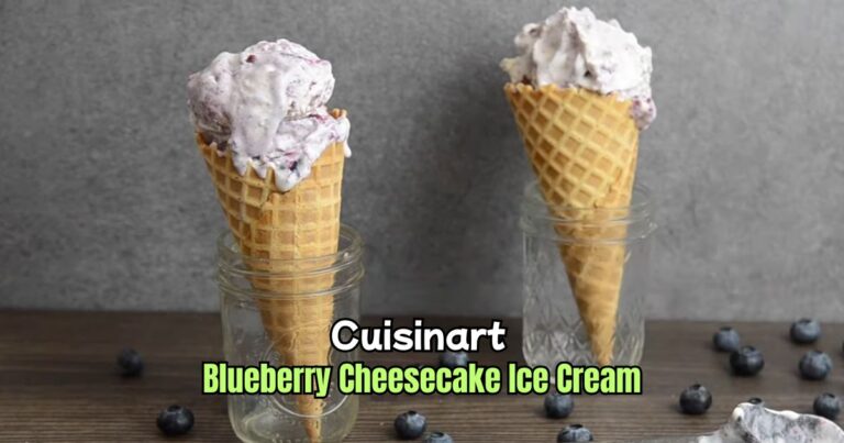 Cuisinart Blueberry Cheesecake Ice Cream