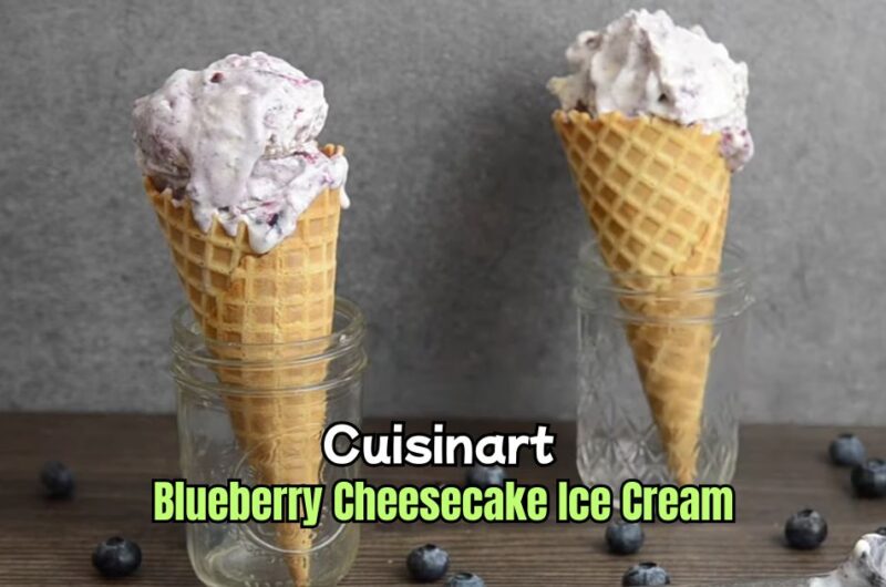 Cuisinart Blueberry Cheesecake Ice Cream
