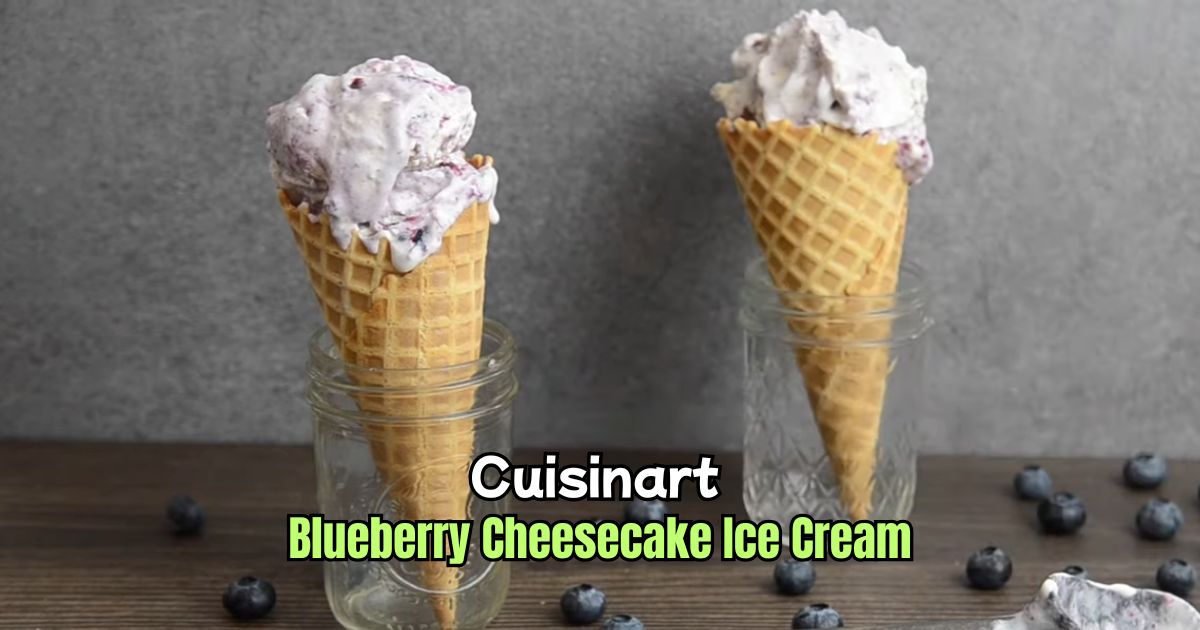 Cuisinart Blueberry Cheesecake Ice Cream