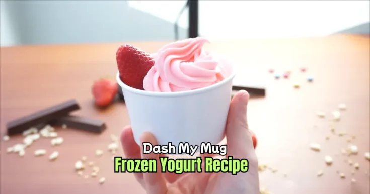Dash My Mug Frozen Yogurt Recipe