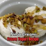 Ninja Creami Frozen Yogurt Recipe