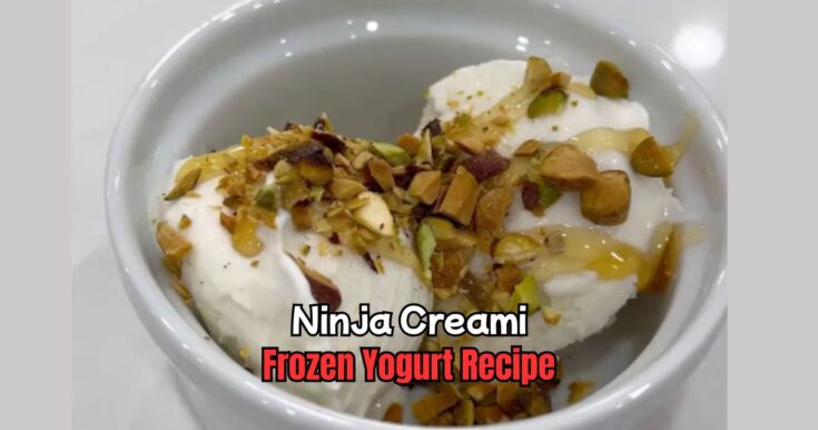 Ninja Creami Frozen Yogurt Recipe