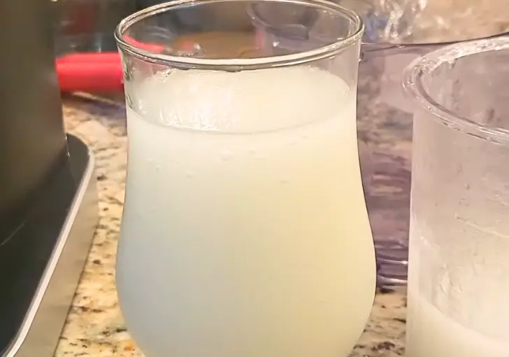 Ninja Creami Margarita 1