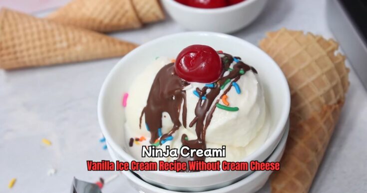 Ninja Creami Vanilla Ice Cream Recipe Without Cream Cheese