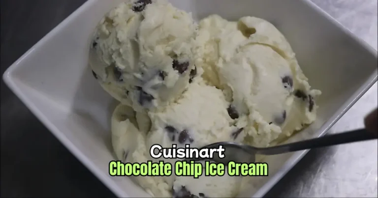 Cuisinart Chocolate Chip Ice Cream Recipe
