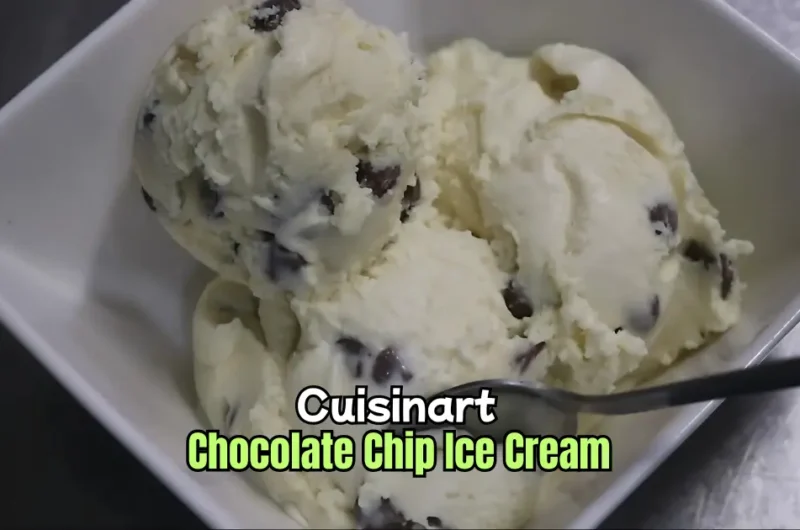 Cuisinart Chocolate Chip Ice Cream Recipe