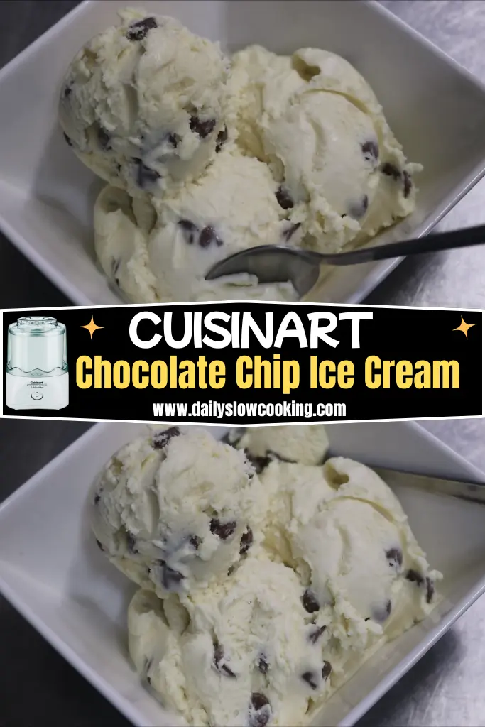Cuisinart Chocolate Chip Ice Cream