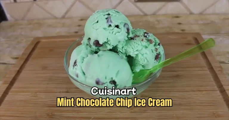 Cuisinart Mint Chocolate Chip Ice Cream