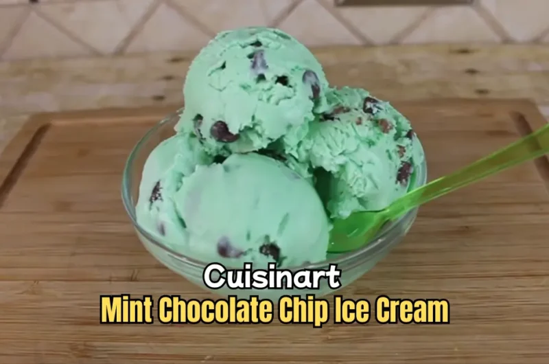 Cuisinart Mint Chocolate Chip Ice Cream