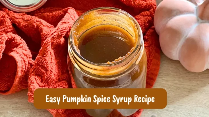 Easy Pumpkin Spice Syrup Recipe