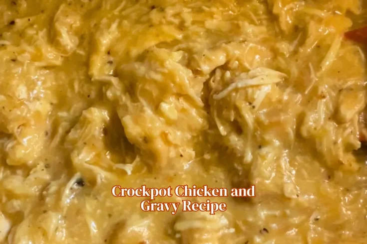 Crockpot Chicken and Gravy Recipe