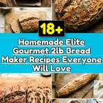 Homemade Elite Gourmet 2lb Bread Maker Recipes Everyone Will Love