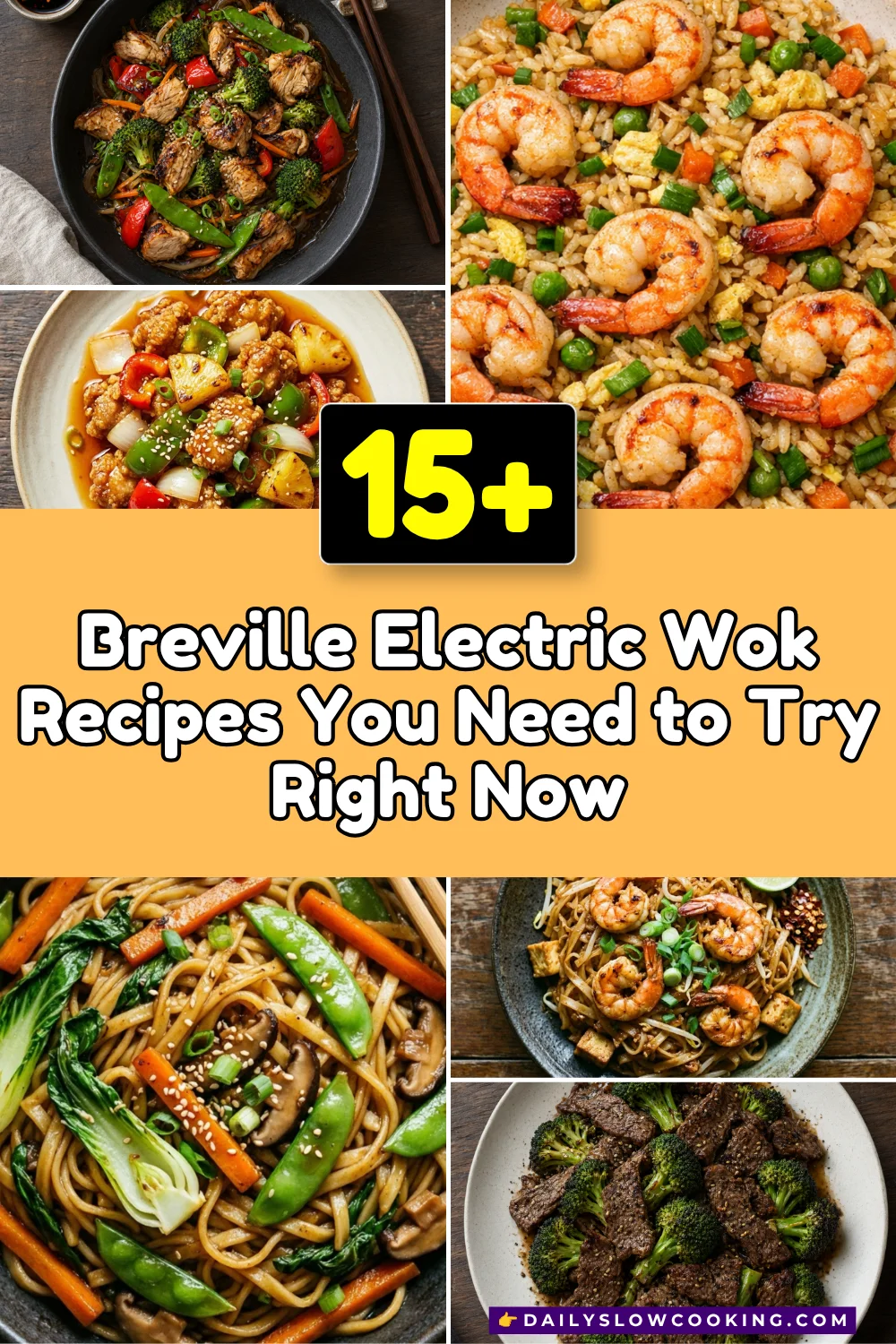 Breville Electric Wok Recipes You Need to Try Right Now