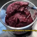 Ninja Creami Blueberry Sorbet Recipe