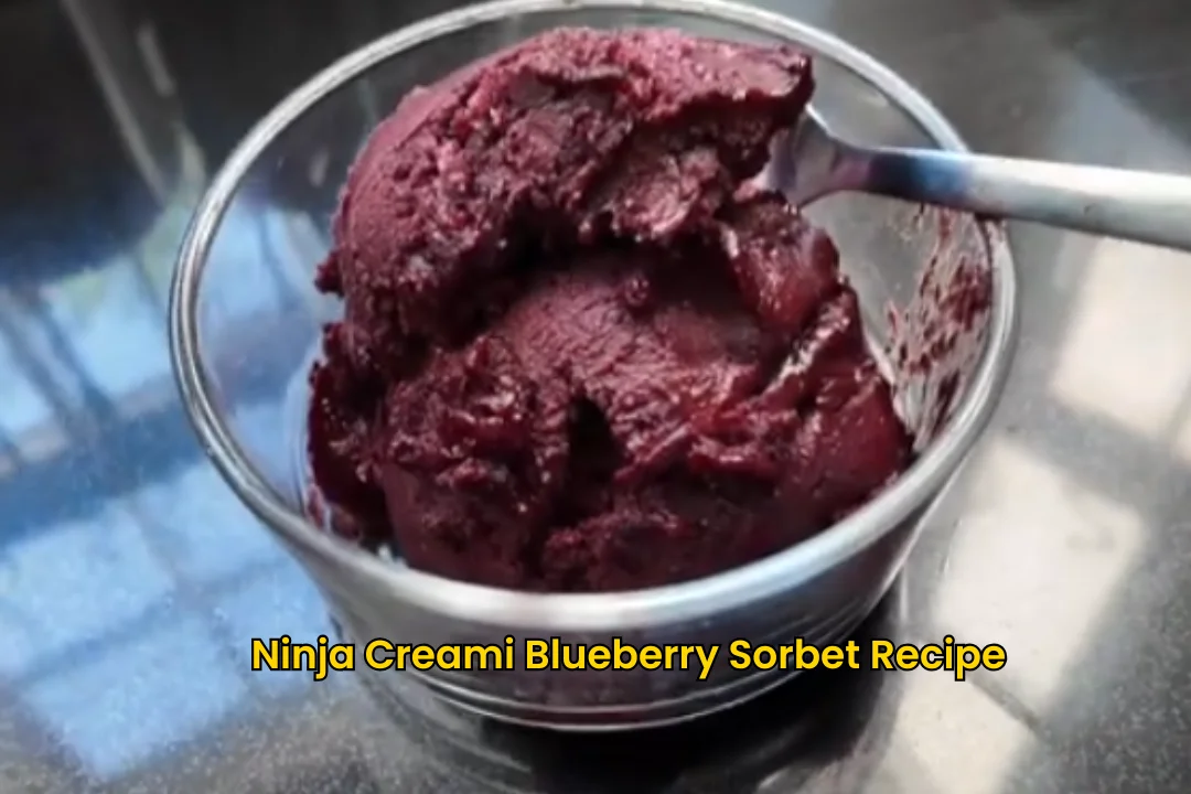 Ninja Creami Blueberry Sorbet Recipe