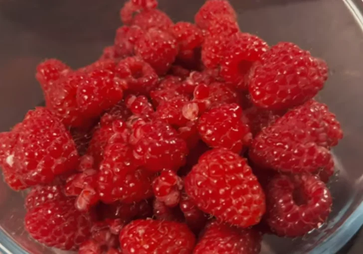 Step 1 Add the First Layer of Raspberries
