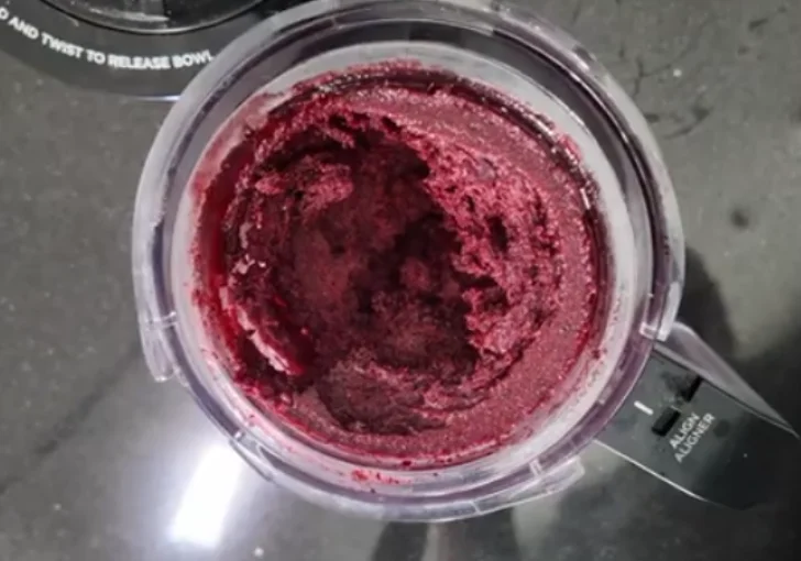 Step 7 Process the Sorbet