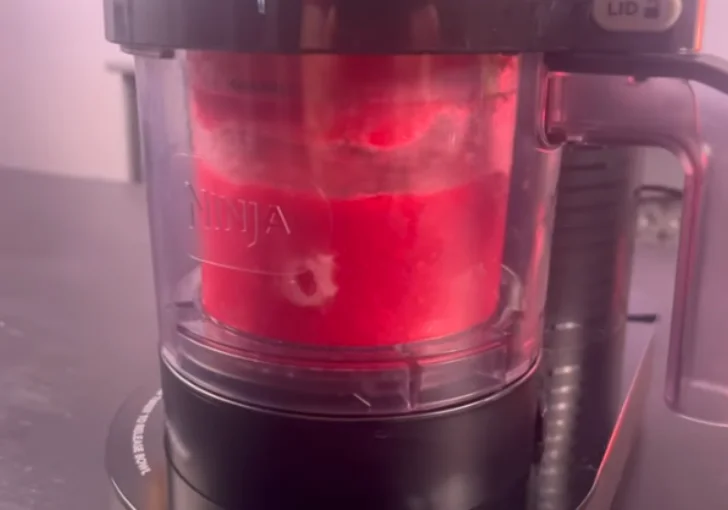 Step 9 Process the Sorbet