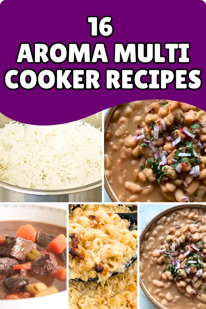 Aroma Multi Cooker Recipes