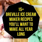 Breville Ice Cream Maker Recipes